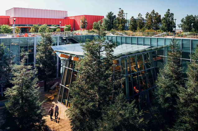 Illustration for article titled Facebook's New Office Looks Like a Tree House Built by an Incompetent Dad